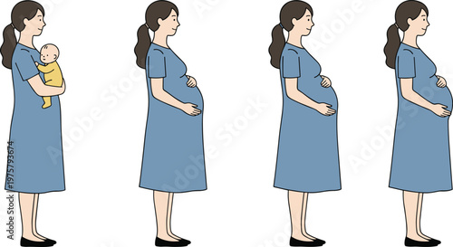 Cartoon pregnancy stages in colorful vector illustration of motherhood, baby, and family design