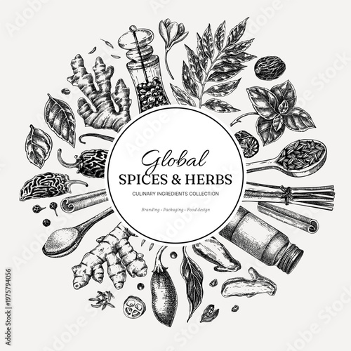 Culinary herbs and spices round frame design. Food ingredient hand drawn vintage illustration in engraved style