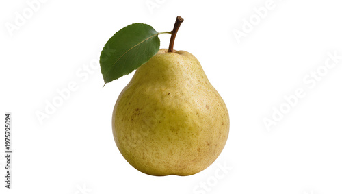 Ripe green pear with single leaf and stem