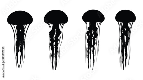 Four black silhouette jellyfish illustrations against a stark white background