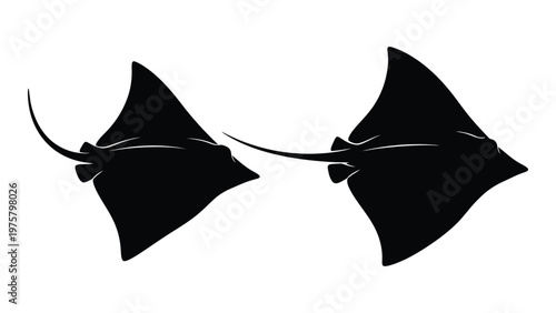 Two stingrays depicted in a minimalist black silhouette style viewed from above