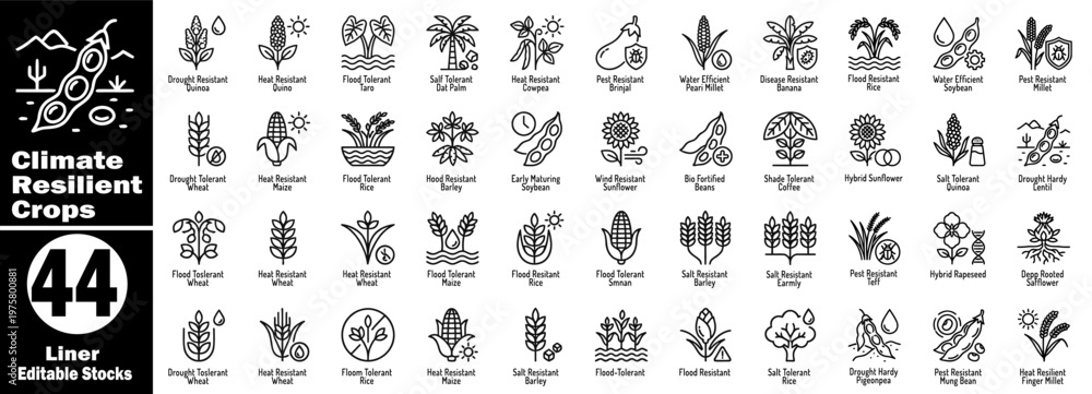 Fototapeta premium Climate Smart Agriculture icons set. Climate resilient crops icons liner editable stocks, agricultural plants.