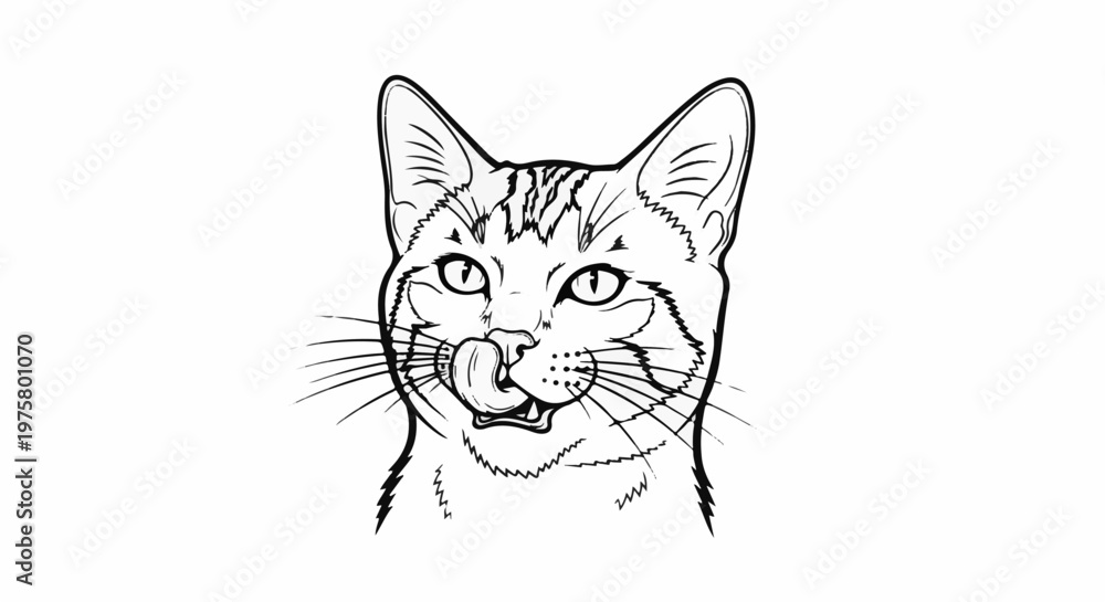 Fototapeta premium Black and white line drawing of a cat licking its nose