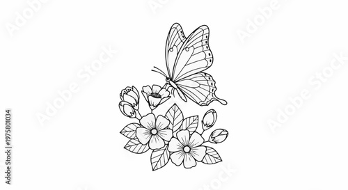 Delicate butterfly perched on blooming flowers, outlined in black