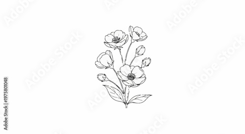 Delicate sketch of blooming flowers and buds with leaves