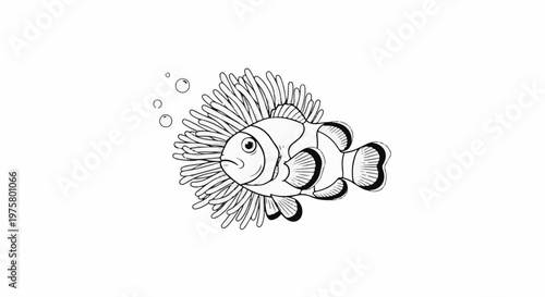 A black and white drawing of a clownfish nestled within an anemone