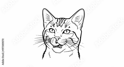 Black and white line drawing of a cat licking its nose