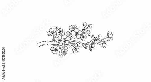 Delicate branch with blossoming flowers and buds