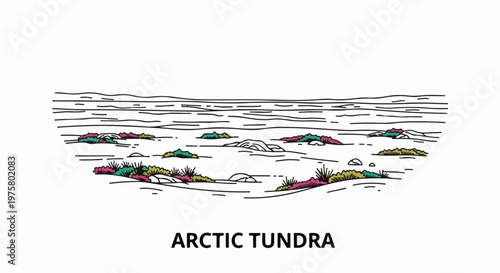 Stylized illustration of a barren arctic tundra landscape with scattered rocks and vegetation