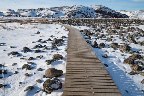 Tourist ecotrail in the rocky tundra on March day. Teriberka nature park. Murmansk region, Russia
