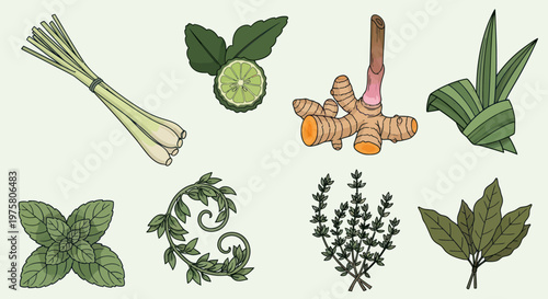 Herbs and spices on display.
