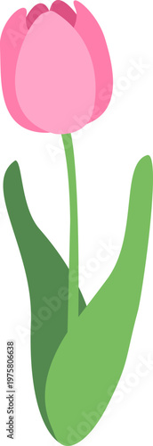 Pastel Tone Tulip Flowers Illustration for Spring Season with Soft Colors and Fresh Floral Mood