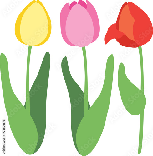 Pastel Tone Tulip Flowers Illustration for Spring Season with Soft Colors and Fresh Floral Mood