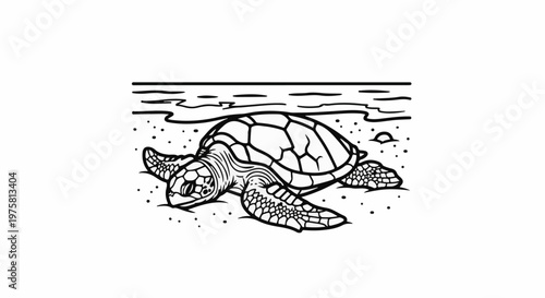A line drawing of a sea turtle on a sandy beach with the ocean in the background