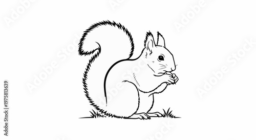 A black and white line drawing of a squirrel holding a nut in its paws on grass