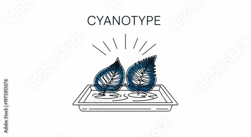 Two leaves in a tray are being processed with lines radiating from above