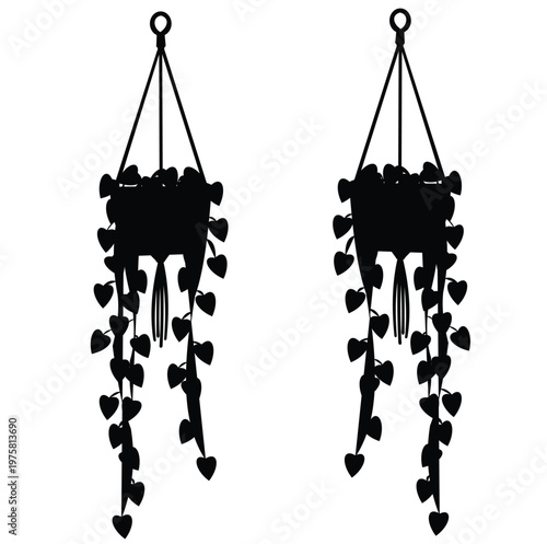 Black silhouette of two hanging potted plants