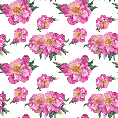 floral seamless pattern with peonies, watercolor illustration for fabric, dishes, packaging, and postcards