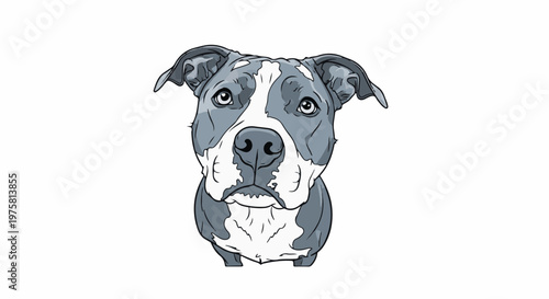 A close-up, cartoon-style illustration of a pit bull dog's head