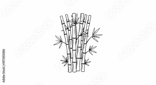 A black and white sketch of a cluster of bamboo stalks with leaves