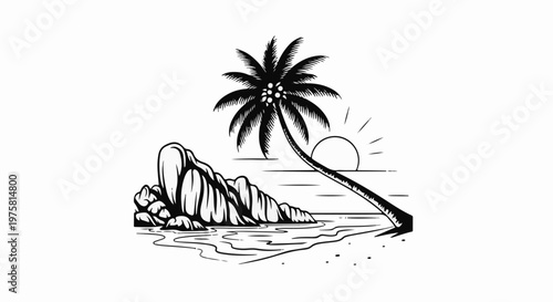 Tropical coastline with a leaning palm tree, sun setting over the ocean