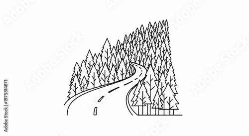 Winding road through a dense forest of pine trees