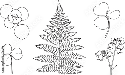  Hand drawn top view plant ink sketch set featuring ferns and succulent plants. Botanical vector collection for landscape architecture and garden design projects