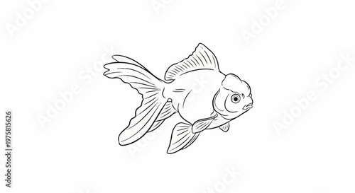 Artistic outline drawing of a single goldfish swimming