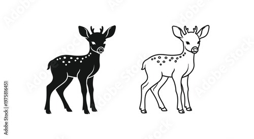 Whitetail Deer Fawns Comparison Guide Vector