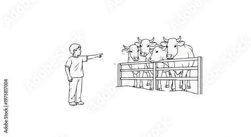 Boy pointing at cows in a pen, line drawing