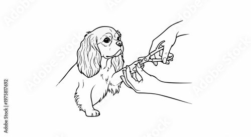 Line drawing of a person carefully trimming a dog's nails with clippers