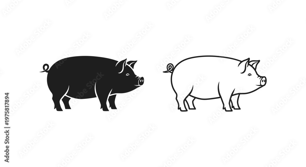 Fototapeta premium Pigs Comparison Visual Guide for Kids Farmers Vector