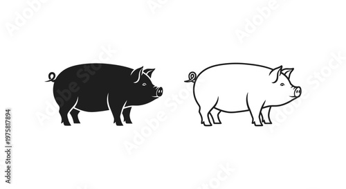 Pigs Comparison Visual Guide for Kids  Farmers Vector