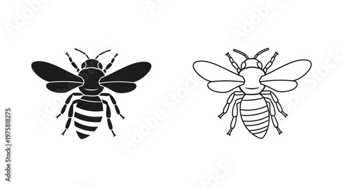 Bee vs Wasp Identification Guide Key Differences Vector
