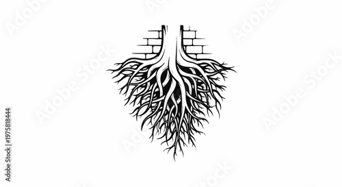 Intricate tree roots emerge from a brick wall structure