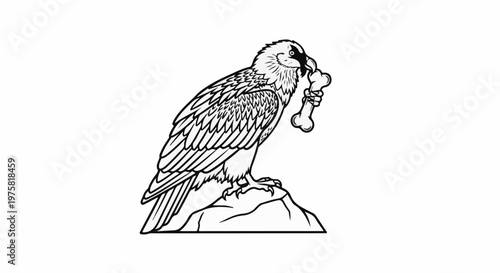 Bird of prey perched on rock, holding a bone in its beak