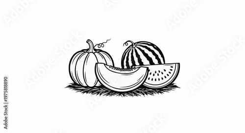 A black and white illustration of a pumpkin, watermelon slices and a melon slice on grass