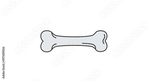 Dog Bone Illustration.