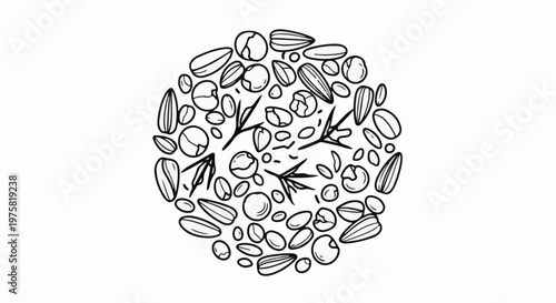 Hand-drawn circular arrangement of assorted seeds and nuts with small sprigs