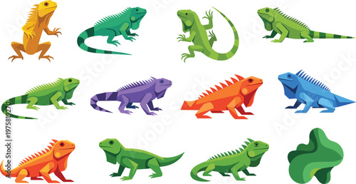 Iguana Lizard Vector Set Colorful Reptile Animal Collection Illustration