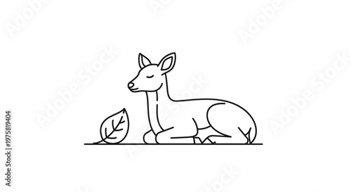 Fawn Sitting Next to Leaf.
