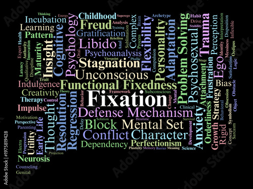 Fotografie Fixation Word Cloud