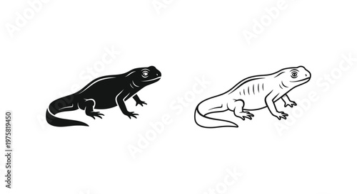 Black White Frog Lizard Amphibian Illustration Vector