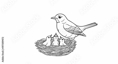 Parent bird feeding chicks in a nest