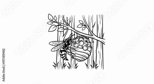 Black and white illustration of a wasp tending to its nest on a branch