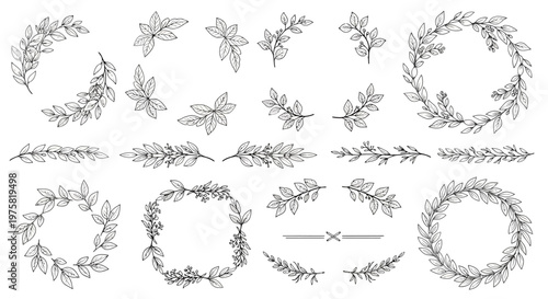 Floral Wreath Illustrations Set.