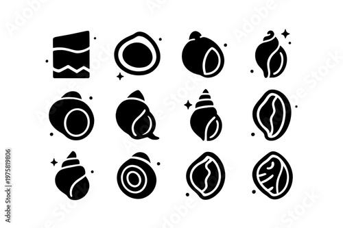 Shell Anatomy Icons. Scientific Study of Shells. Solid icons set of Scientific Study of Shells: periostracum, calcareous layer, umbo, hinge teeth, aperture,