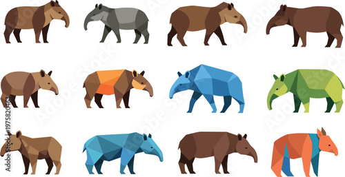 Tapir Vector Set Exotic Jungle Animal Collection Flat Style Illustration