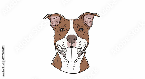 A friendly brown and white dog with its tongue hanging out