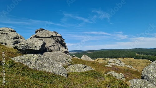Bild auf Leinwand Les forêts couvrant les sommets des monts de la Margeride vues l'été depuis le S